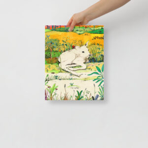 Baby White-tailed Deer - Poster