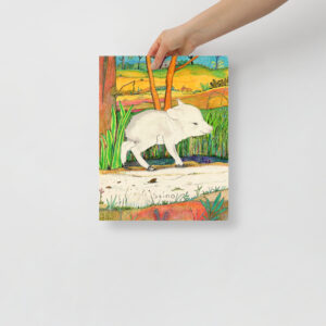 Baby Collared Peccary - Poster