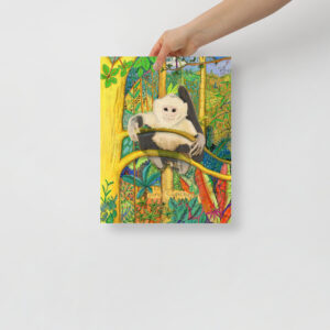 Colombian baby White-faced Capuchin - Poster