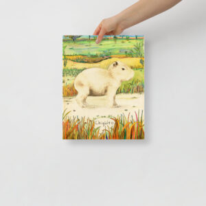 Baby capibara (Hydrochoerus hydrochaeris) - Poster