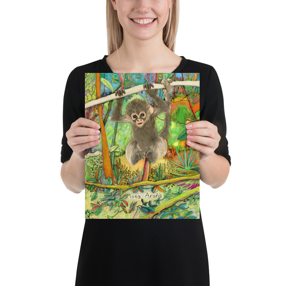 Baby Marimonda/Spider monkey