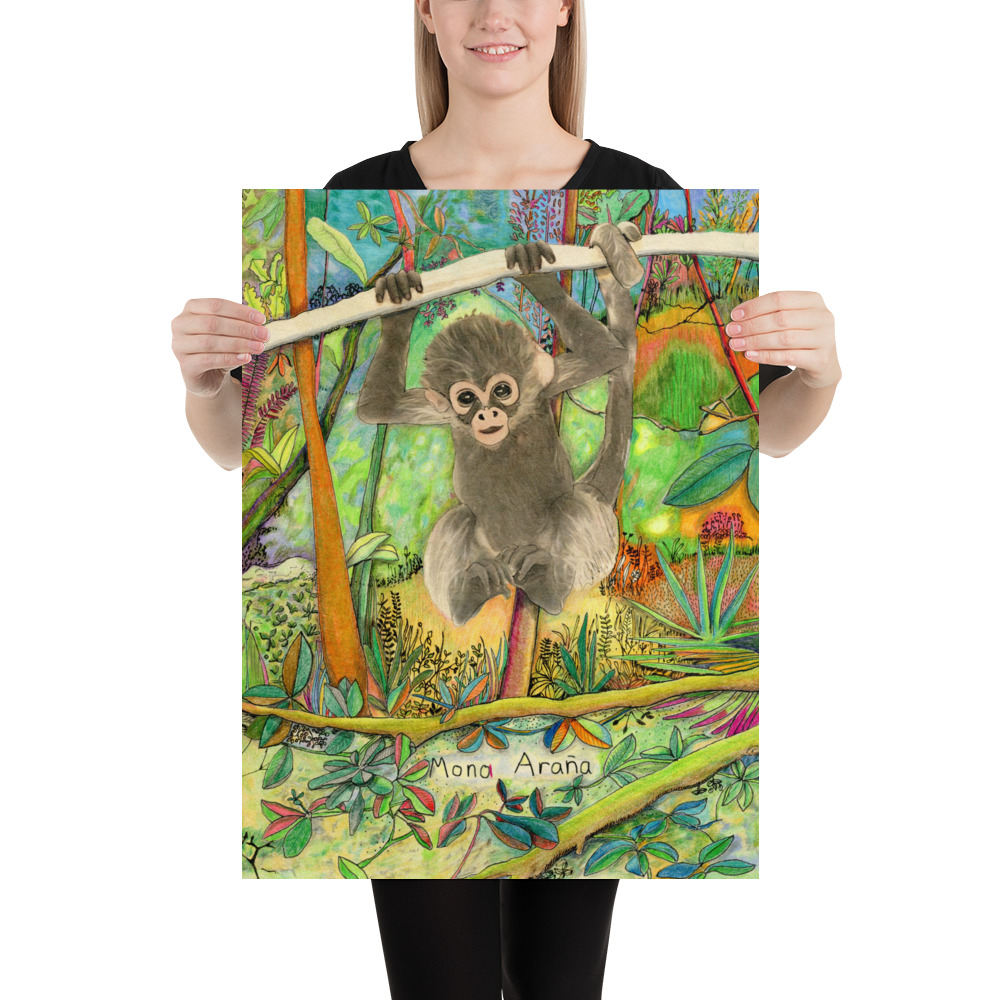 Baby Marimonda/Spider monkey - Image 2