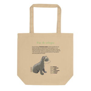 Spectacled Bear Info-Eco Tote Bag